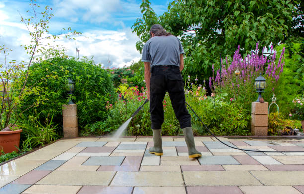 Best Driveway Pressure Washing  in Oak Grove, TN